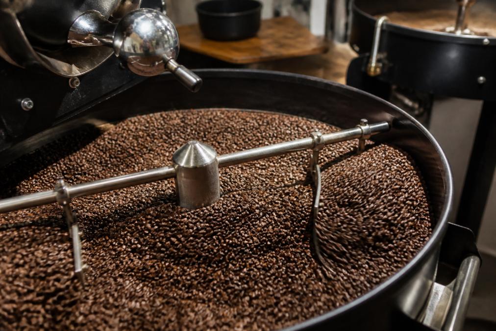 Fresh Roasted Coffee Freshness Window: A 2026 Guide